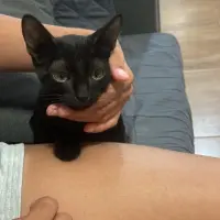 Adopta a Keta