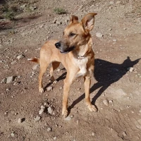 Adopta a Mel