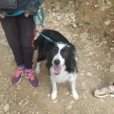 Adopta a Nuc