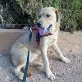 Adopta a Princesa