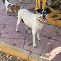 Adopta a Mari Trini