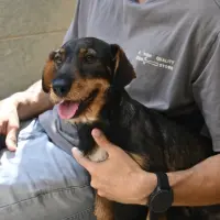 Adopta a Zack