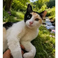 Adopta a Olivia
