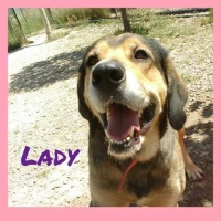 Adopta a Lady