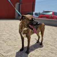 Adopta a Grandullón