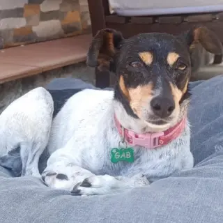 Lala
