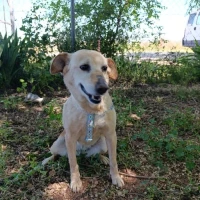 Adopta a Luz