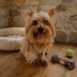 Adopta a Lilith