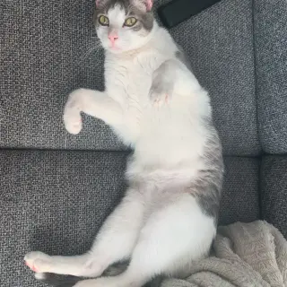 Tuki
