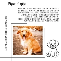 Adopta a Pipo