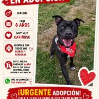 Adopta a Oleg