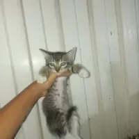 Adopta a Mari