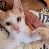 Adopta a Slater
