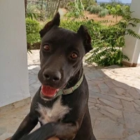 Adopta a Marea