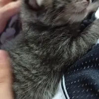 Adopta a Iván