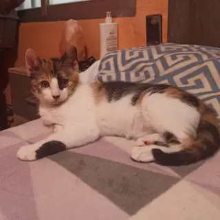 Salma
