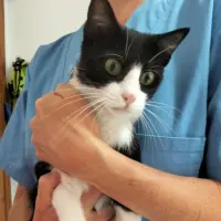Adopta a Magnesita