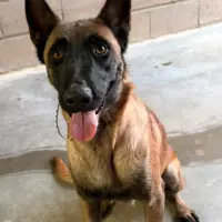 Adopta a Praline