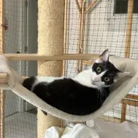 Adopta a Nimbus