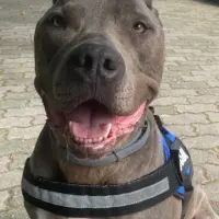 Adopta a Marta Westermayer