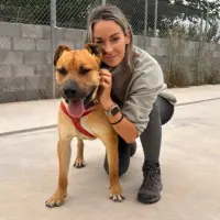 Adopta a Twist