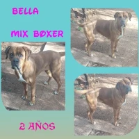 Adopta a Bella