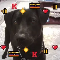 Adopta a Negro
