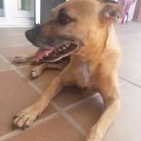 Adopta a Beca