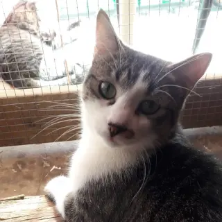 Eric