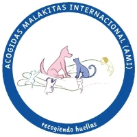 Ami. Acogidas Malakitas Internacional