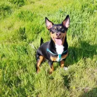 Adopta a Horus