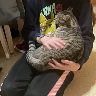 Benji