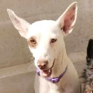 Winnie