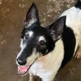 Adopta a Agustín