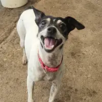 Adopta a Paquita