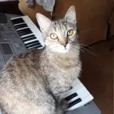 Adopta a Mía