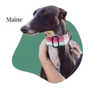 Maine