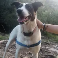 Adopta a Mami
