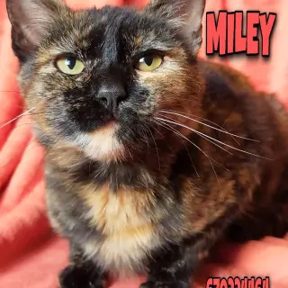 Miley
