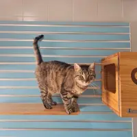 Adopta a Tuna