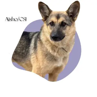 Aisho