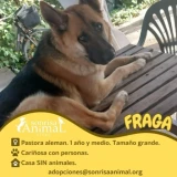 Adopta a Fraga