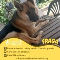 Adopta a Fraga