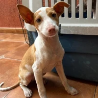 Adopta a Matilda