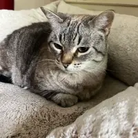 Adopta a Marta
