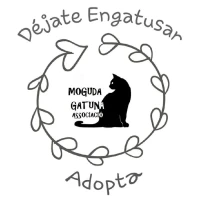 MOGUDA GATUNA ASSOCIACIÓ