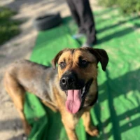 Adopta a Cabo