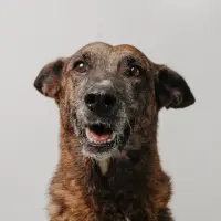 Adopta a Senda