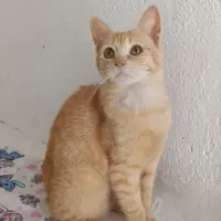 Adopta a Ruidera