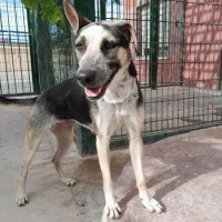 Adopta a Burbuja